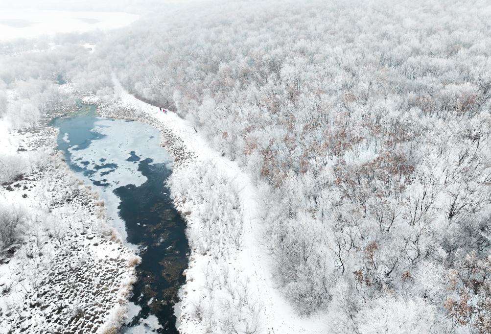 內(nèi)蒙古呼倫貝爾：讓冰雪運(yùn)動更“接地氣”