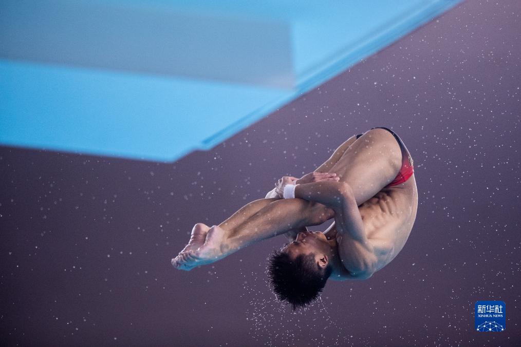  跳水——全国锦标赛：男子个人全能决赛赛况