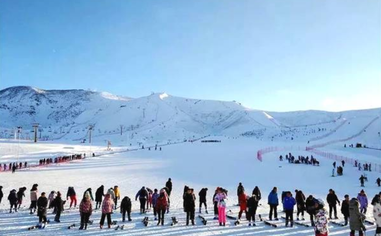 新疆阿勒泰：中小学体育课“搬”到滑雪场