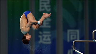 杨健强势登顶泪洒赛场　全运会跳水比赛收官